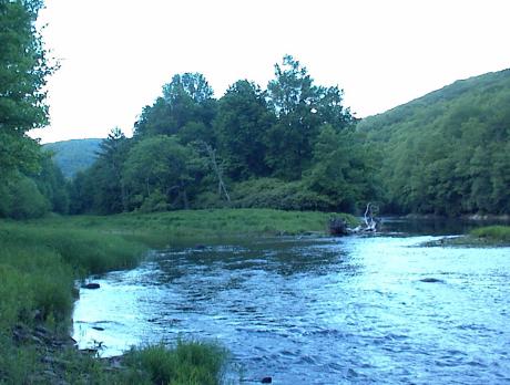 Deep pools, little rapids and grassy stretches provide for a diverse habitat
